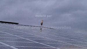 IMAG0015 (5)-greiner-installation-photovoltaique-wangen-67520-67520